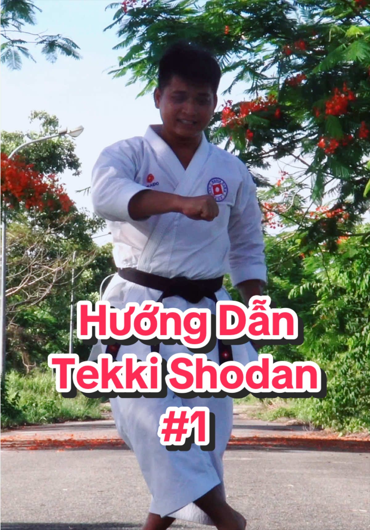 @Quang Hải NDK