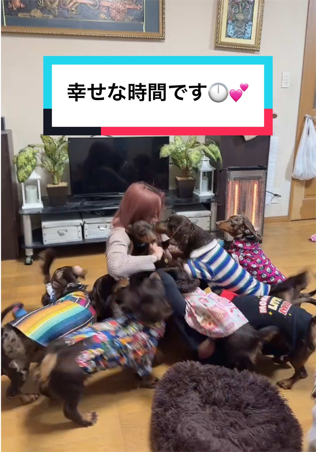 @高嶺のマリア様🌹🧿