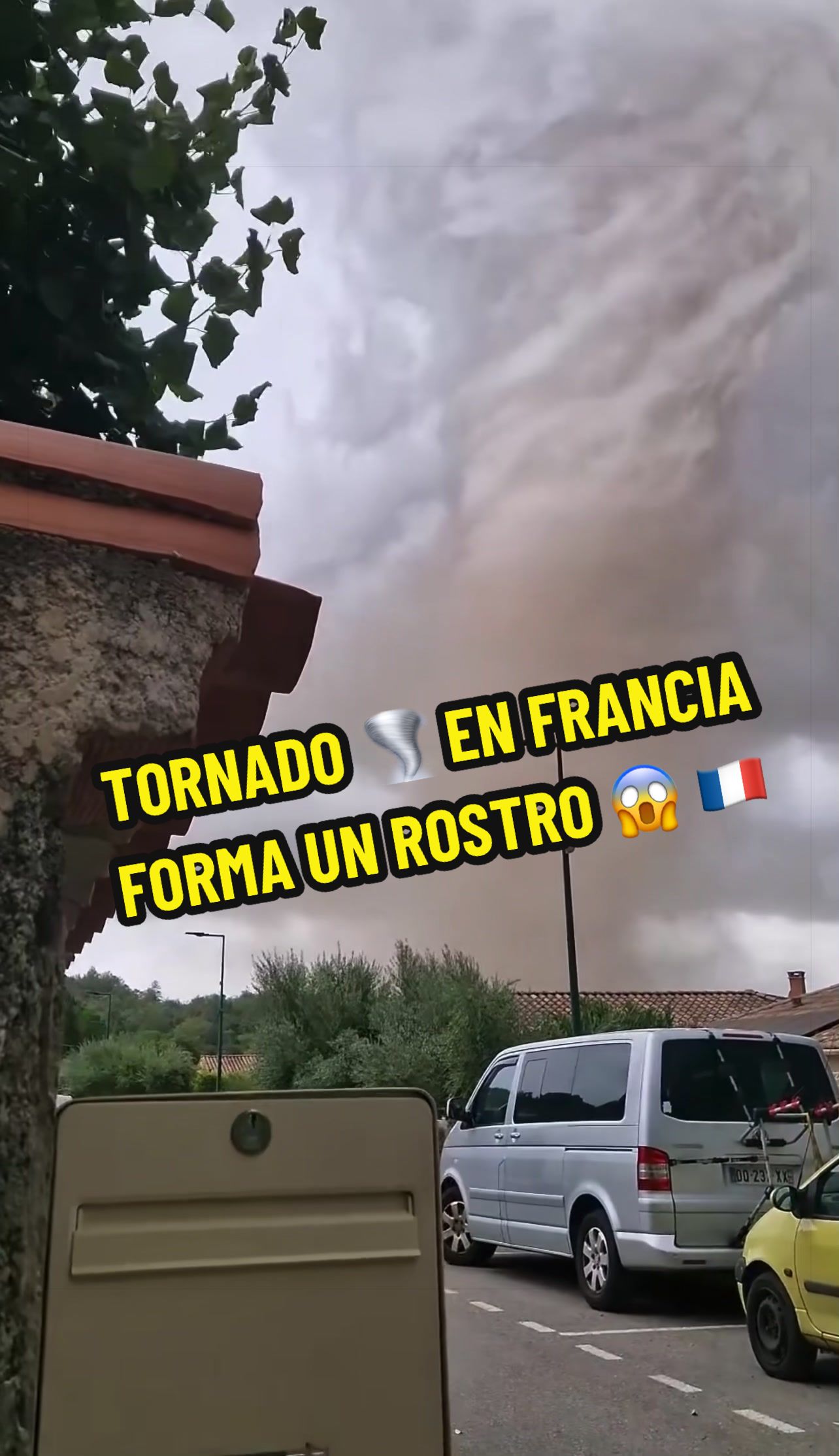 @👁️🗨️ 593 Tendencias