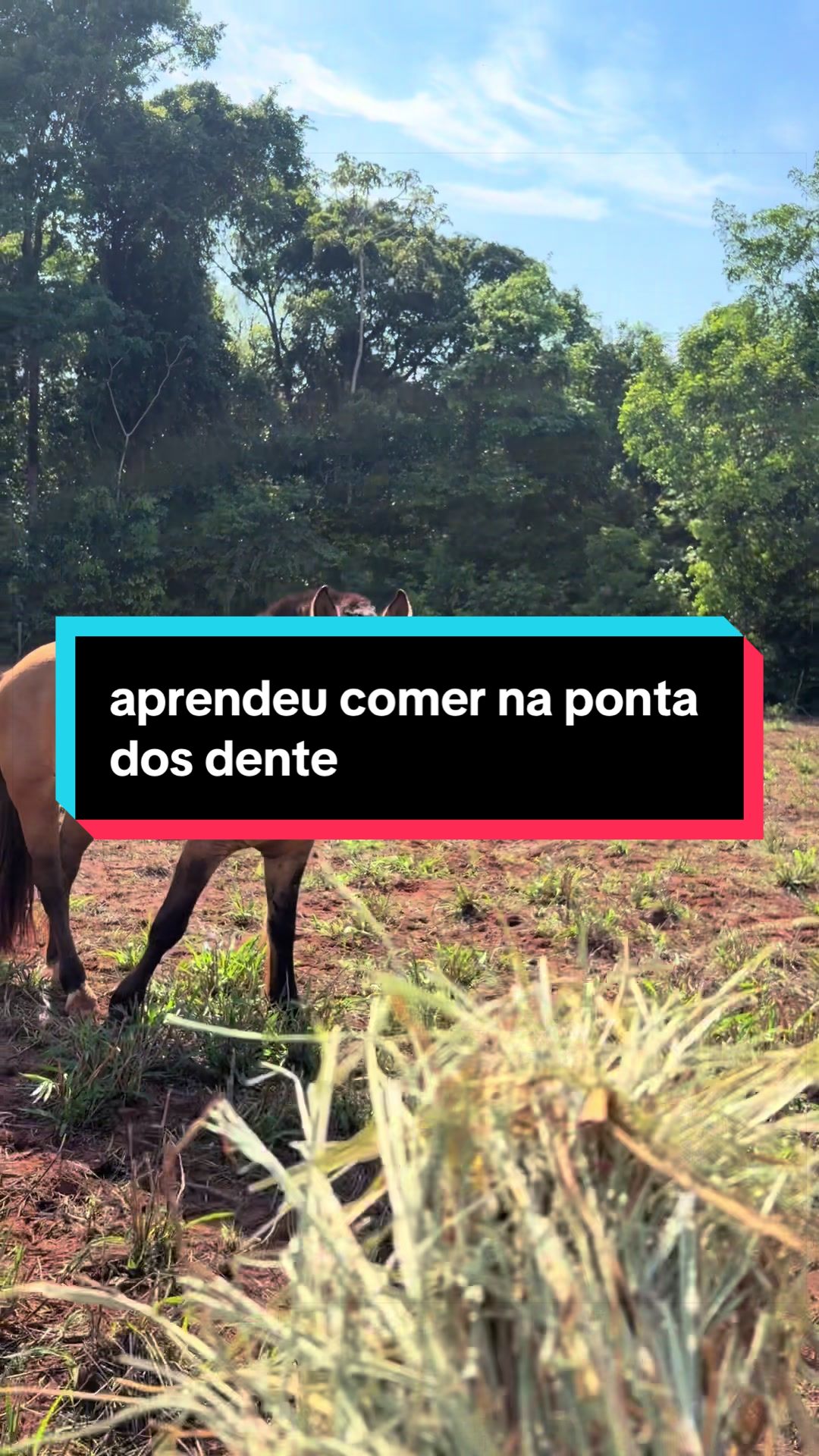 @🍀Santos🚜