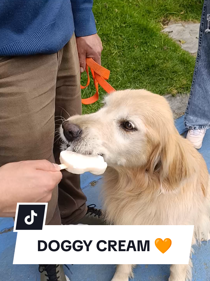 @Doggy Cream