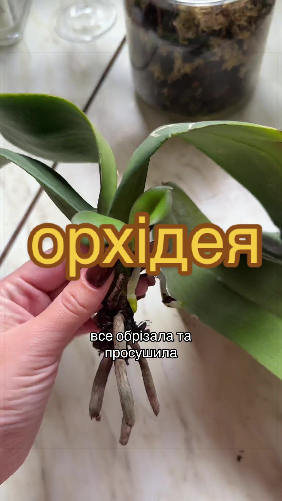@🧚леся🧚