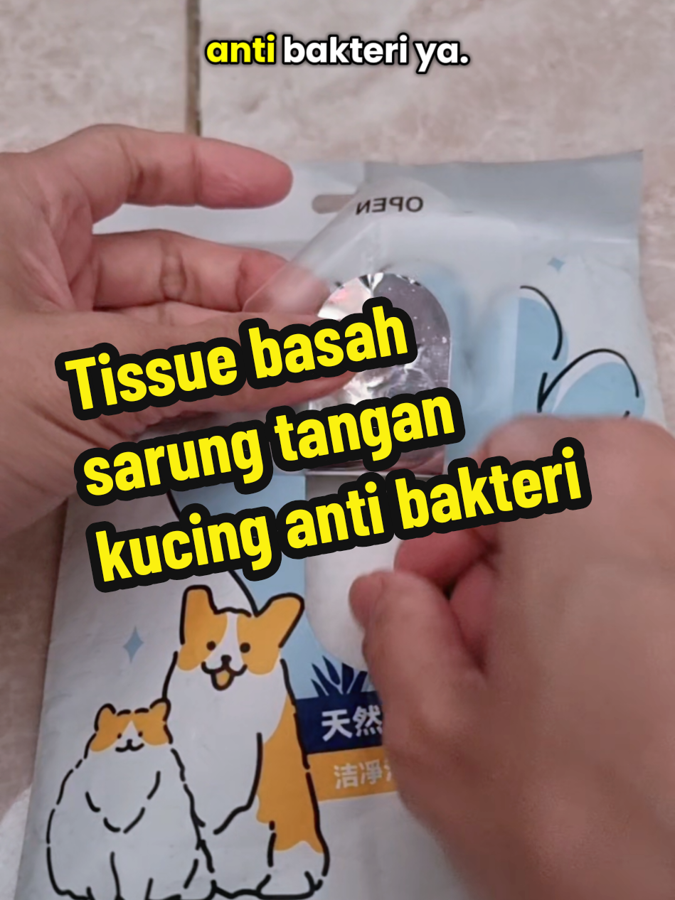 @Chiki and Chiko