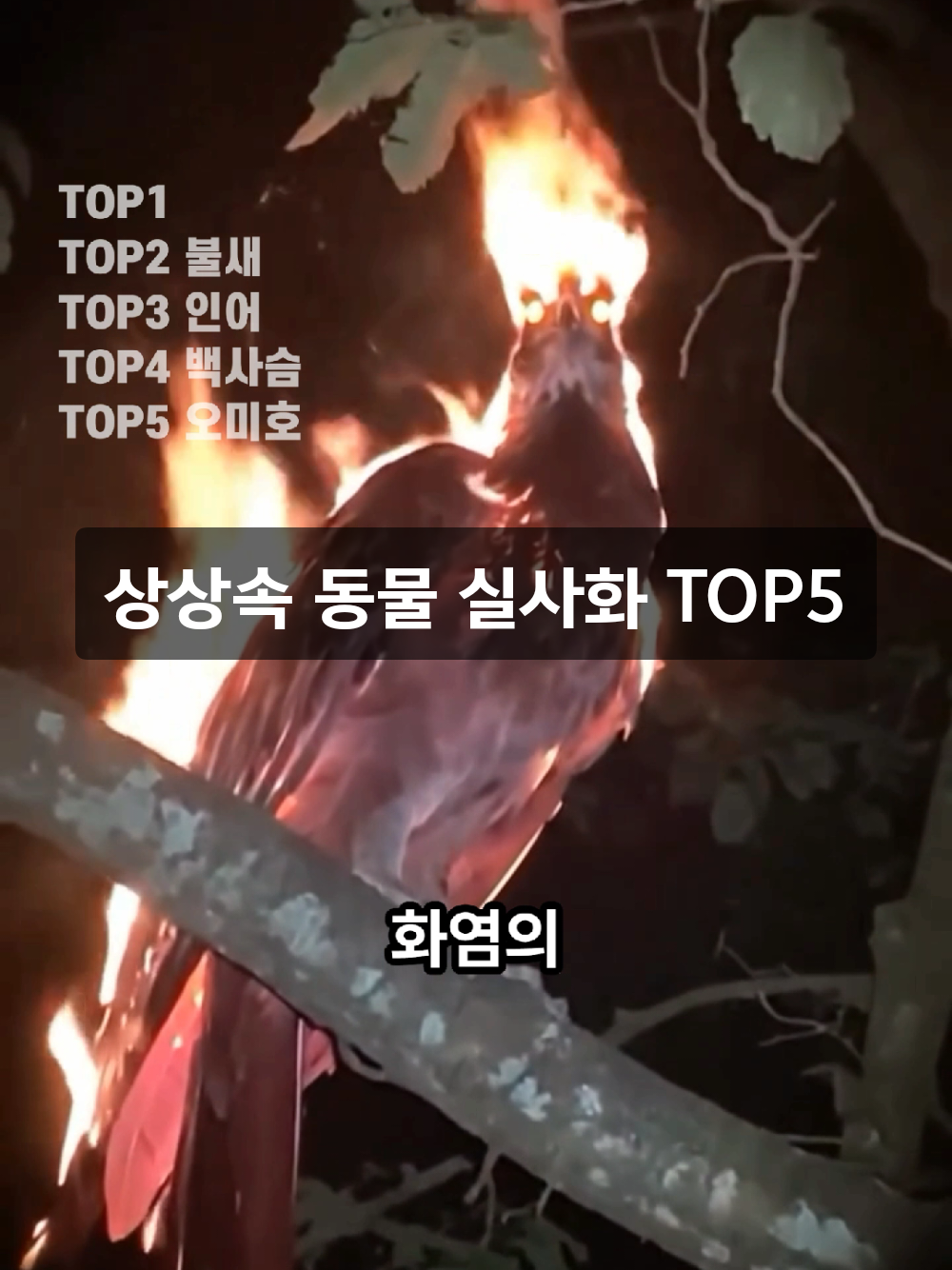 @틱톡맨