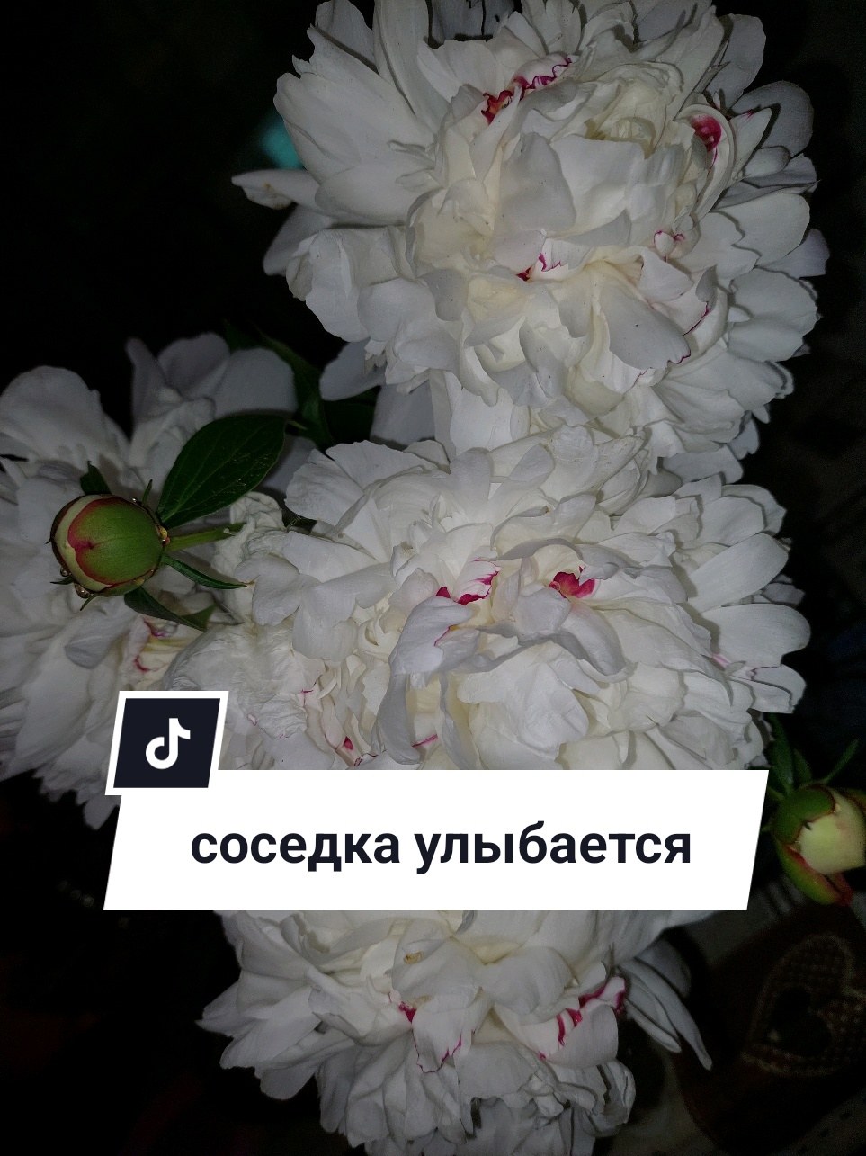 @Рыся✔️🇧🇾