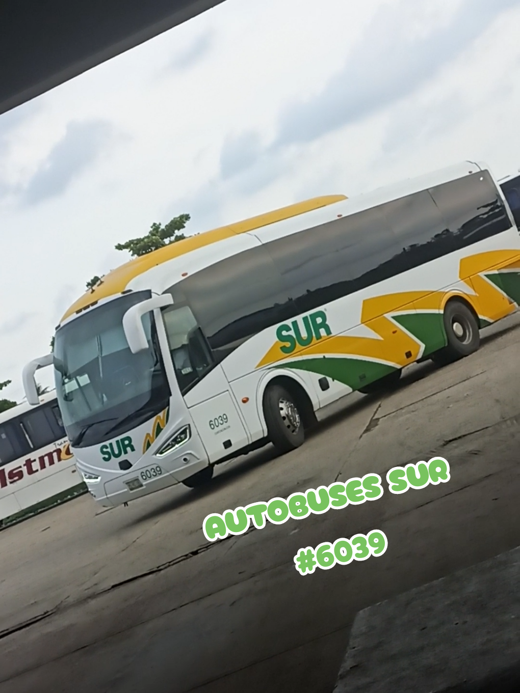 @Busologia Veracruzana 🍀🚍