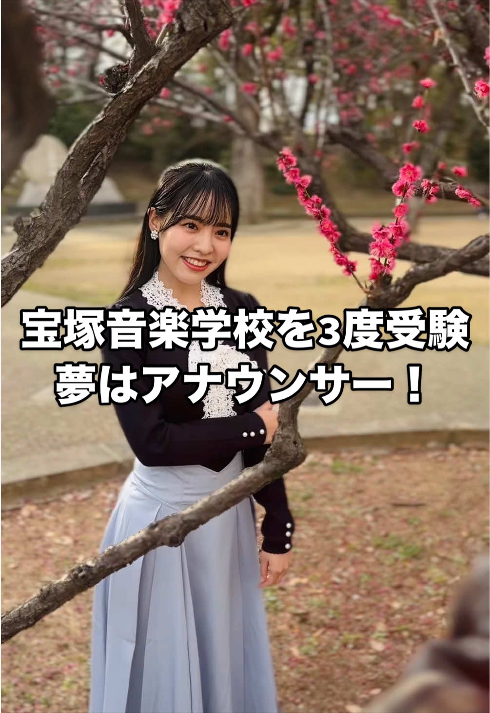 @美学生図鑑
