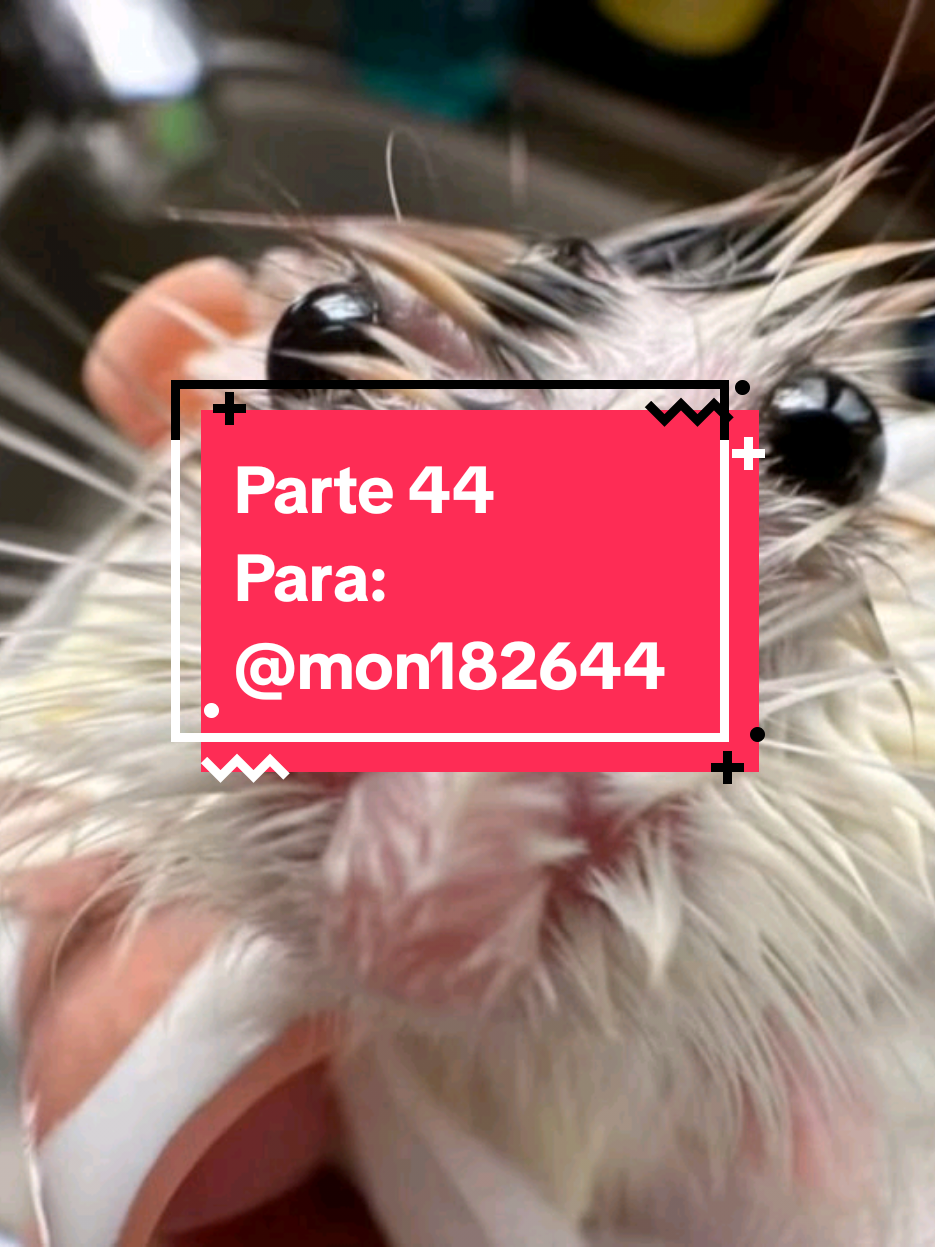 @&middot;:*&uml;༺Fenrslangr༻&uml;*:&middot;