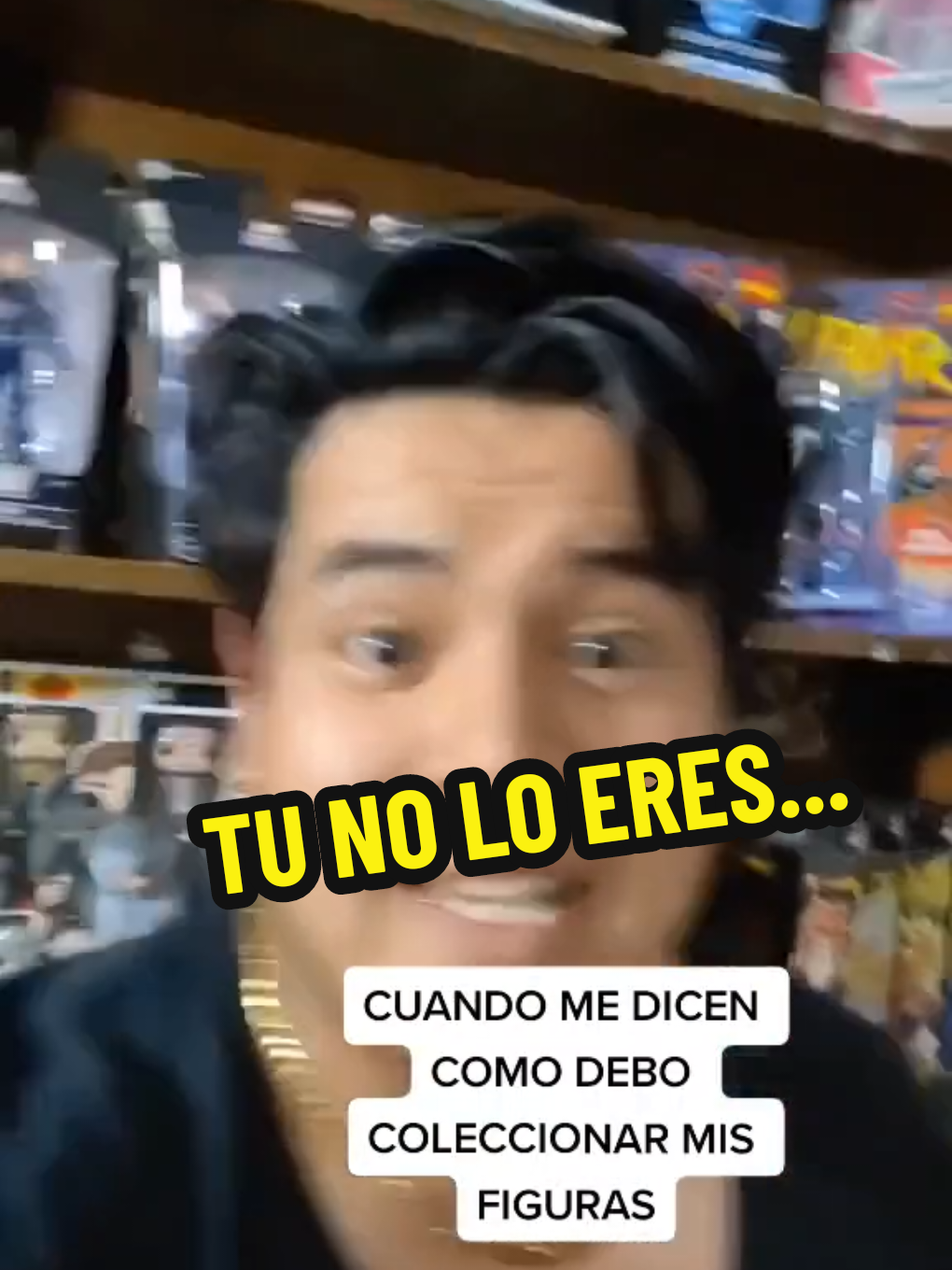 @DardoCollector
