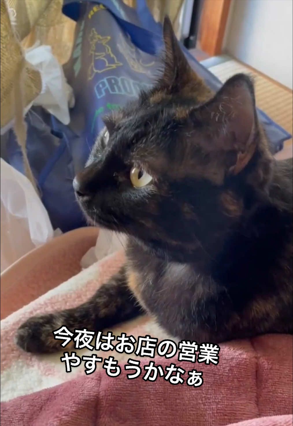 @聴々物語PROJECT