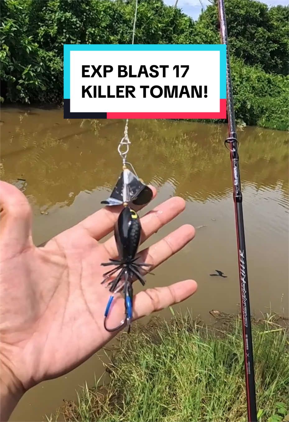 @AidiYeonTackle