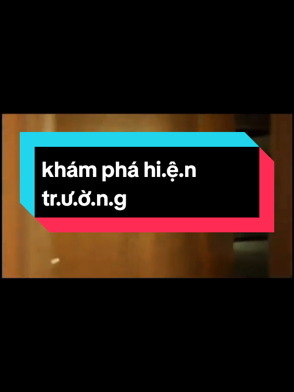 @toàn bá khí