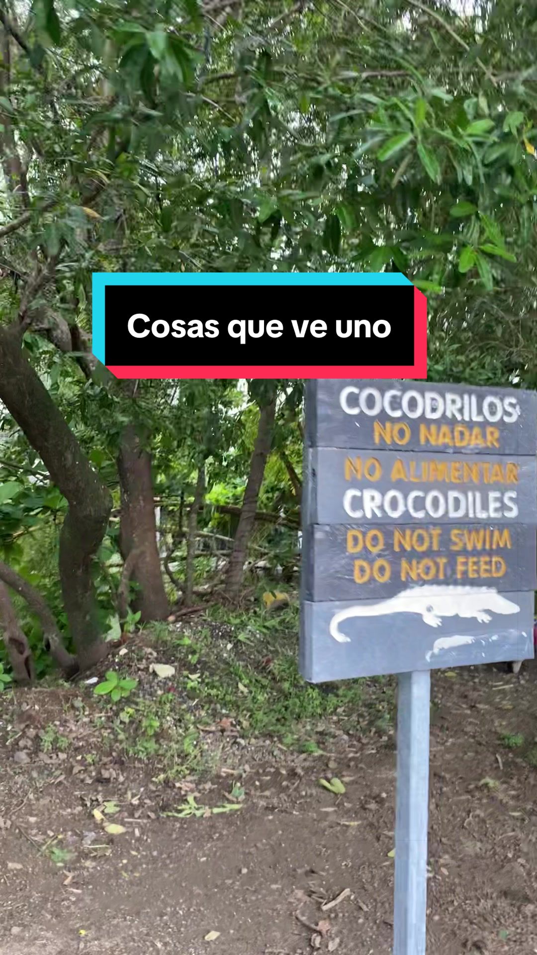 @Javier Galeano