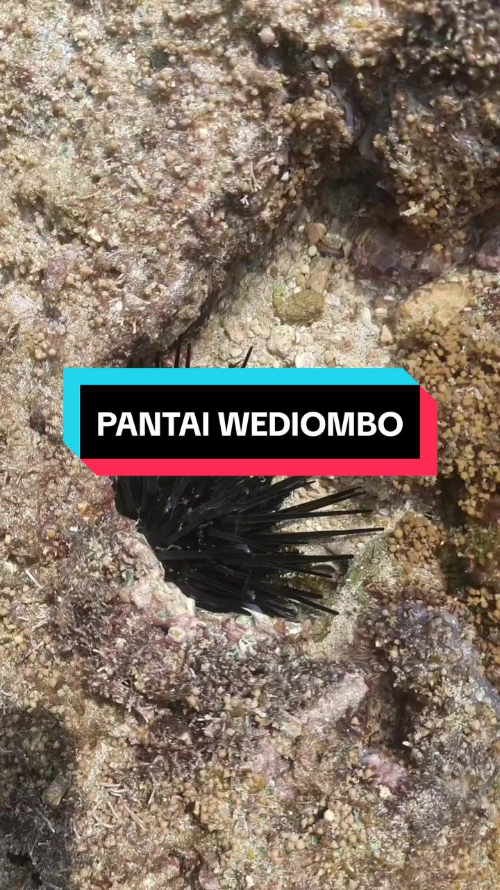 @Jejak MasBey