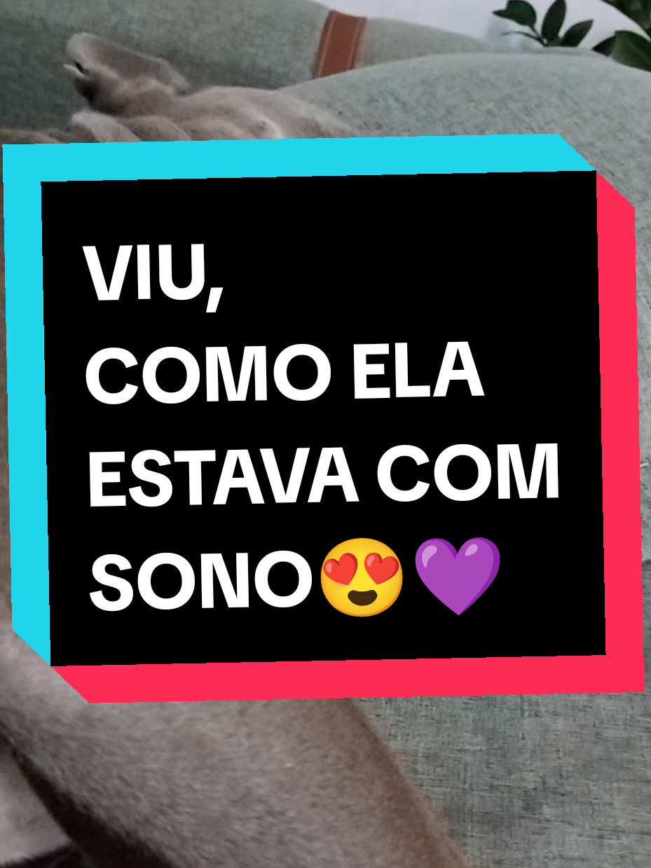 @Katia Canizio 🌻