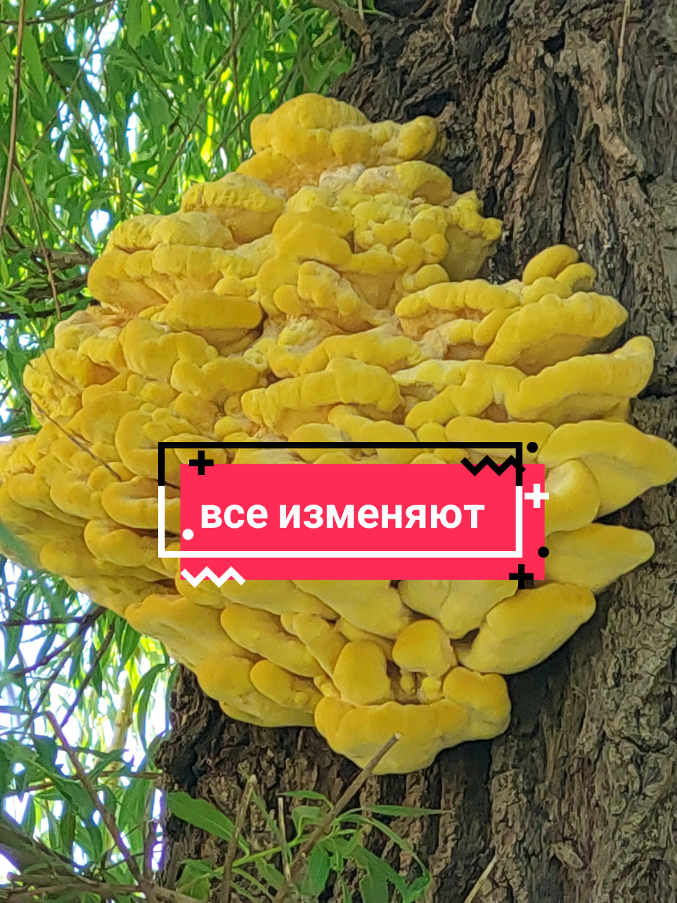 @Рыся✔️🇧🇾