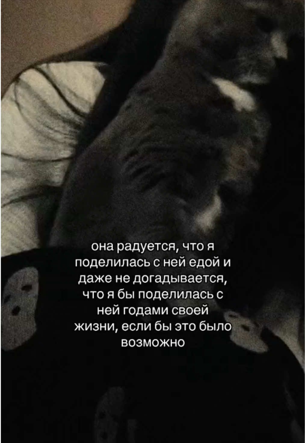 @ками⌖