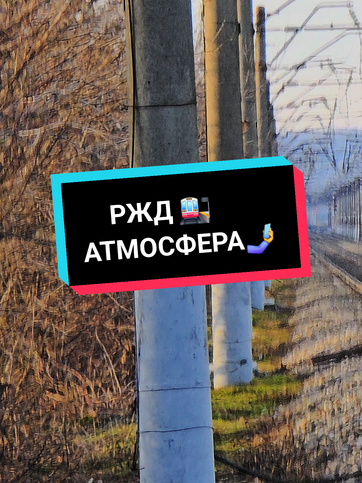 @Дмитрий Шейкин