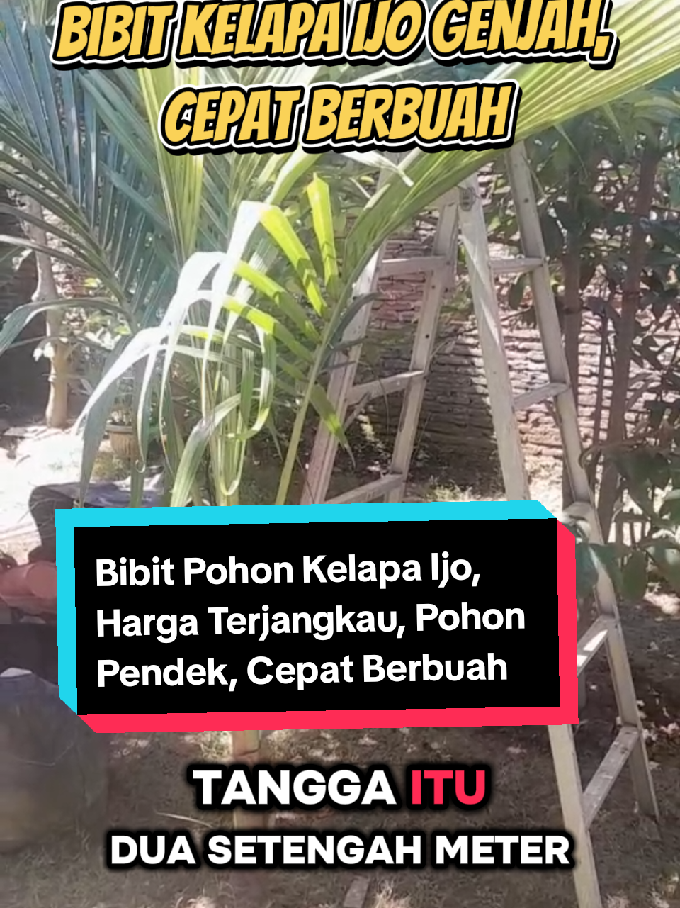 @ARI RADJA CHANNEL