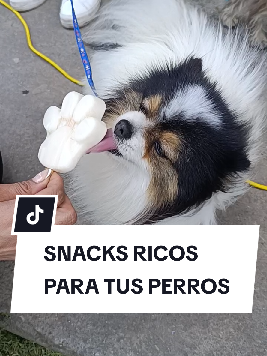 @Doggy Cream