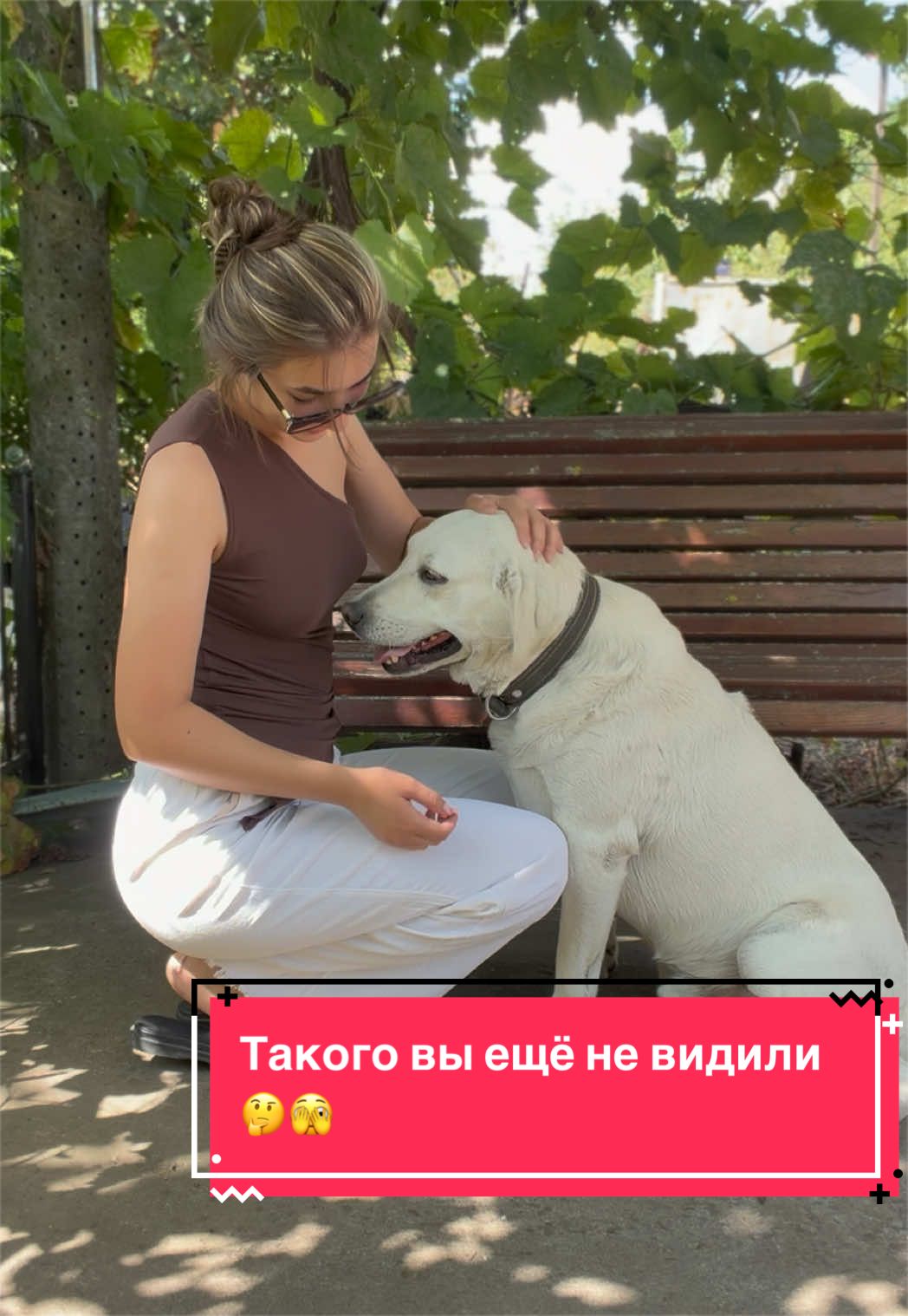 @Larisa🐾Taison