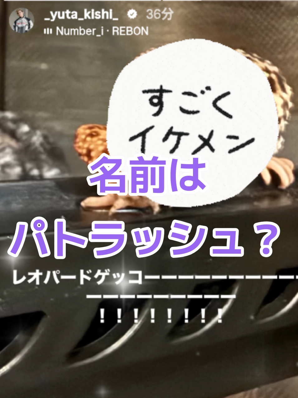 @リップスター