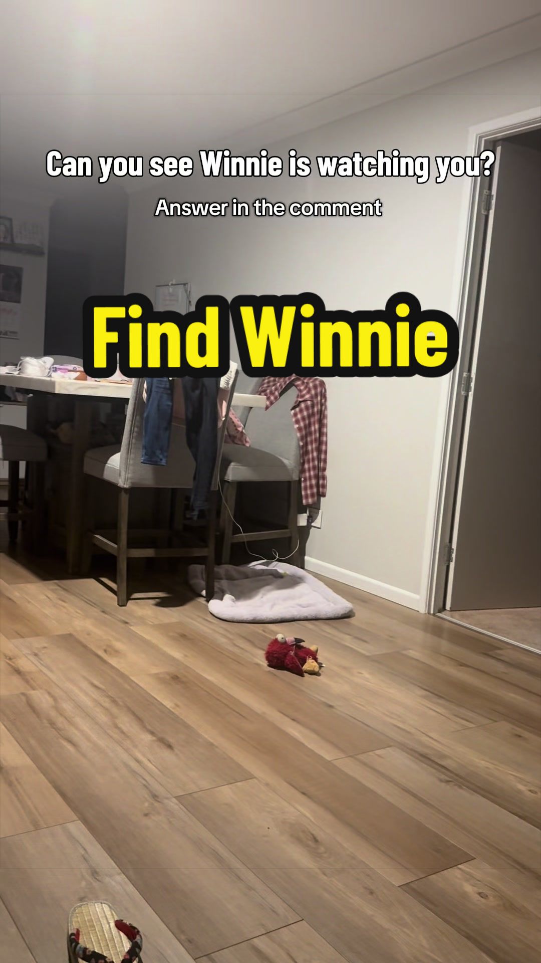 @3goldenretriever