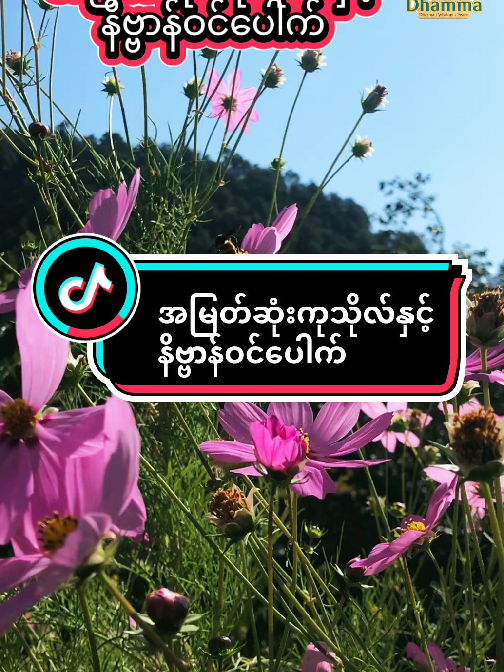 @๐๐๐ญ๐ฎ๐ซ๐ & ๐๐ก๐๐ฆ๐ฆ๐