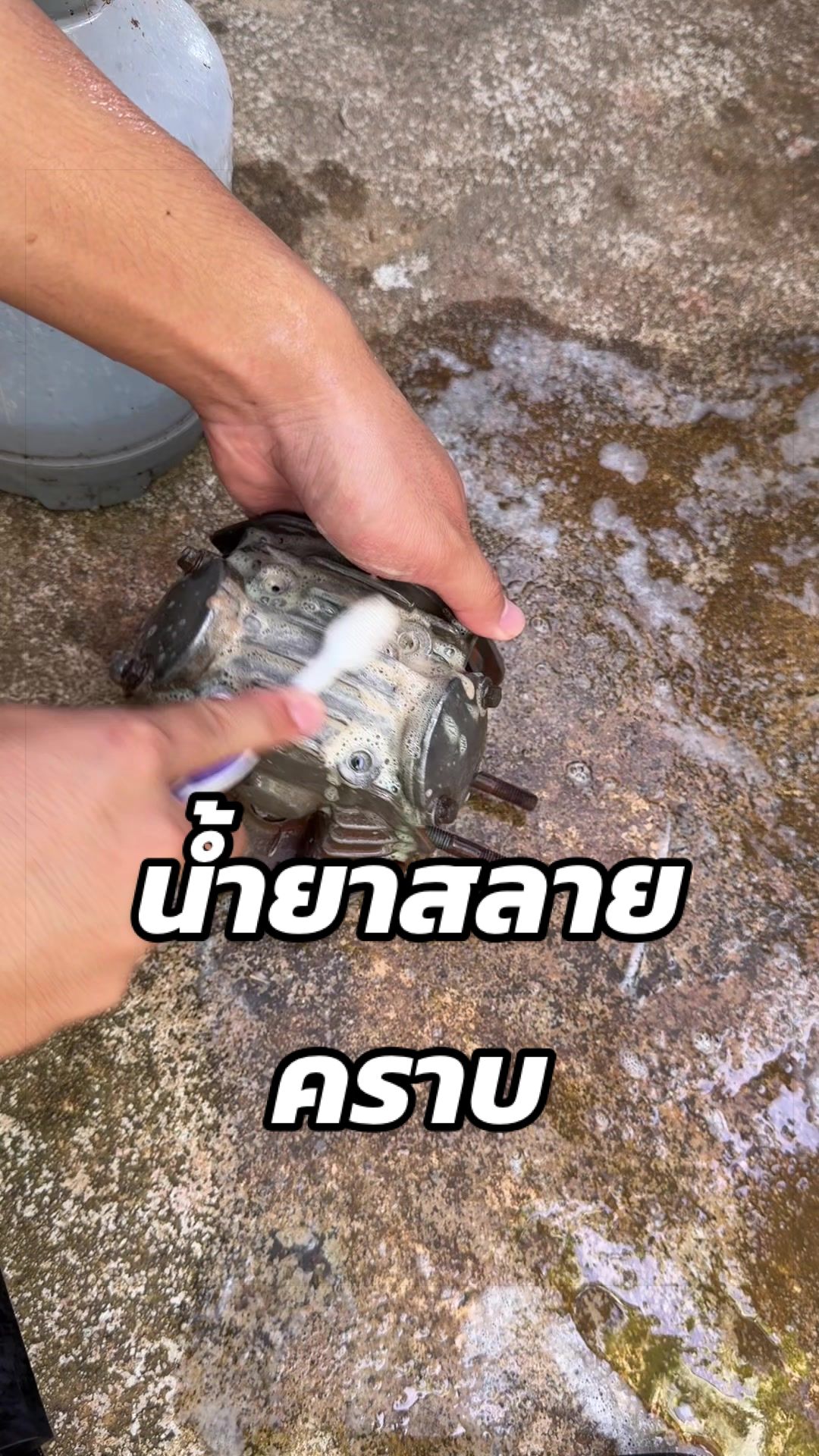 @ณัฐพงศ์(Shop)