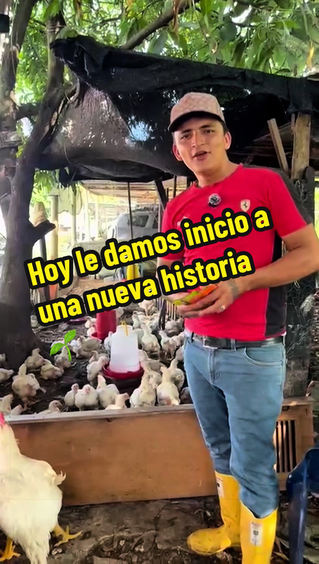 @elmagnatedelospollos