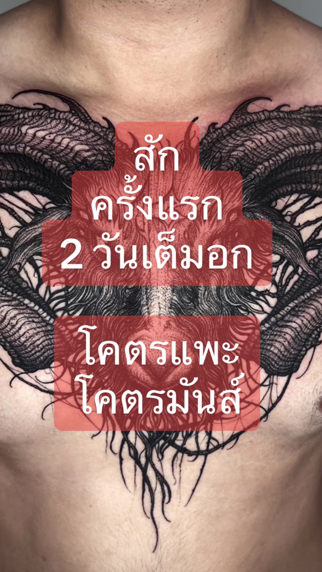 @243tattoo