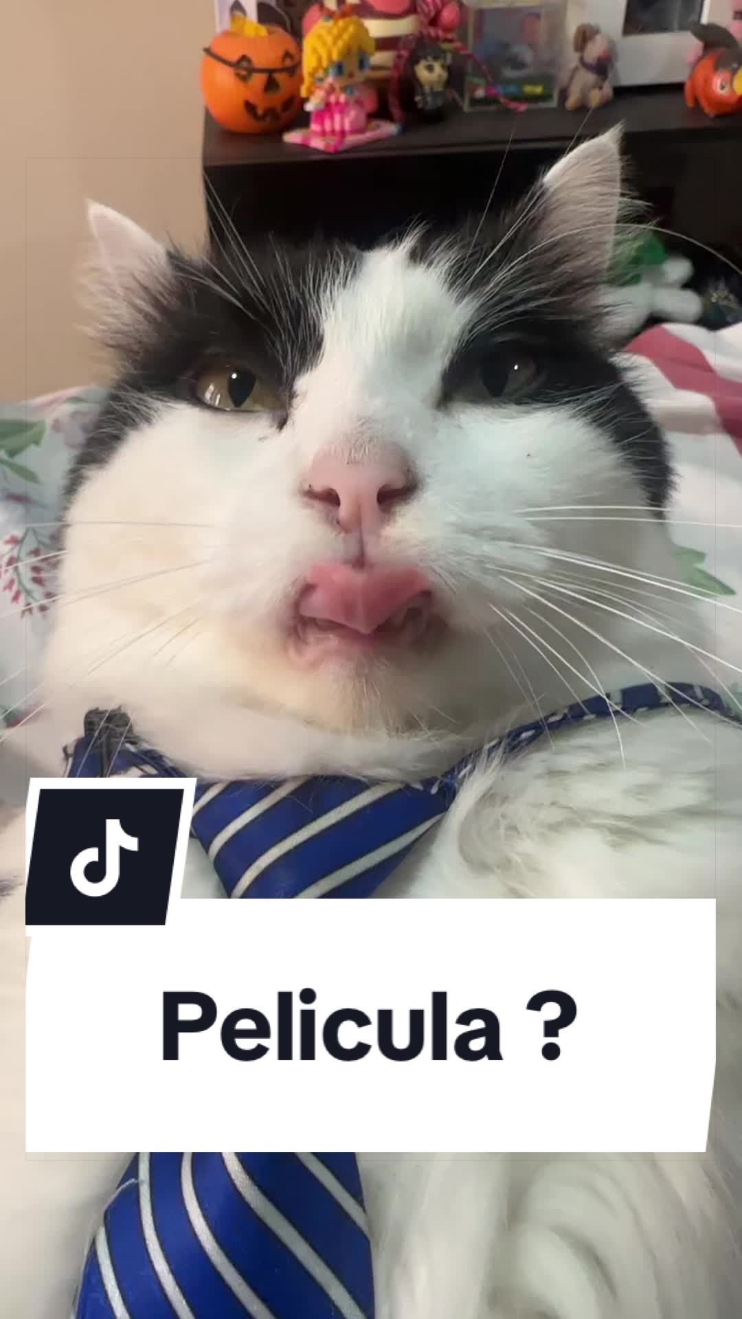 @pepe_el_gordillo