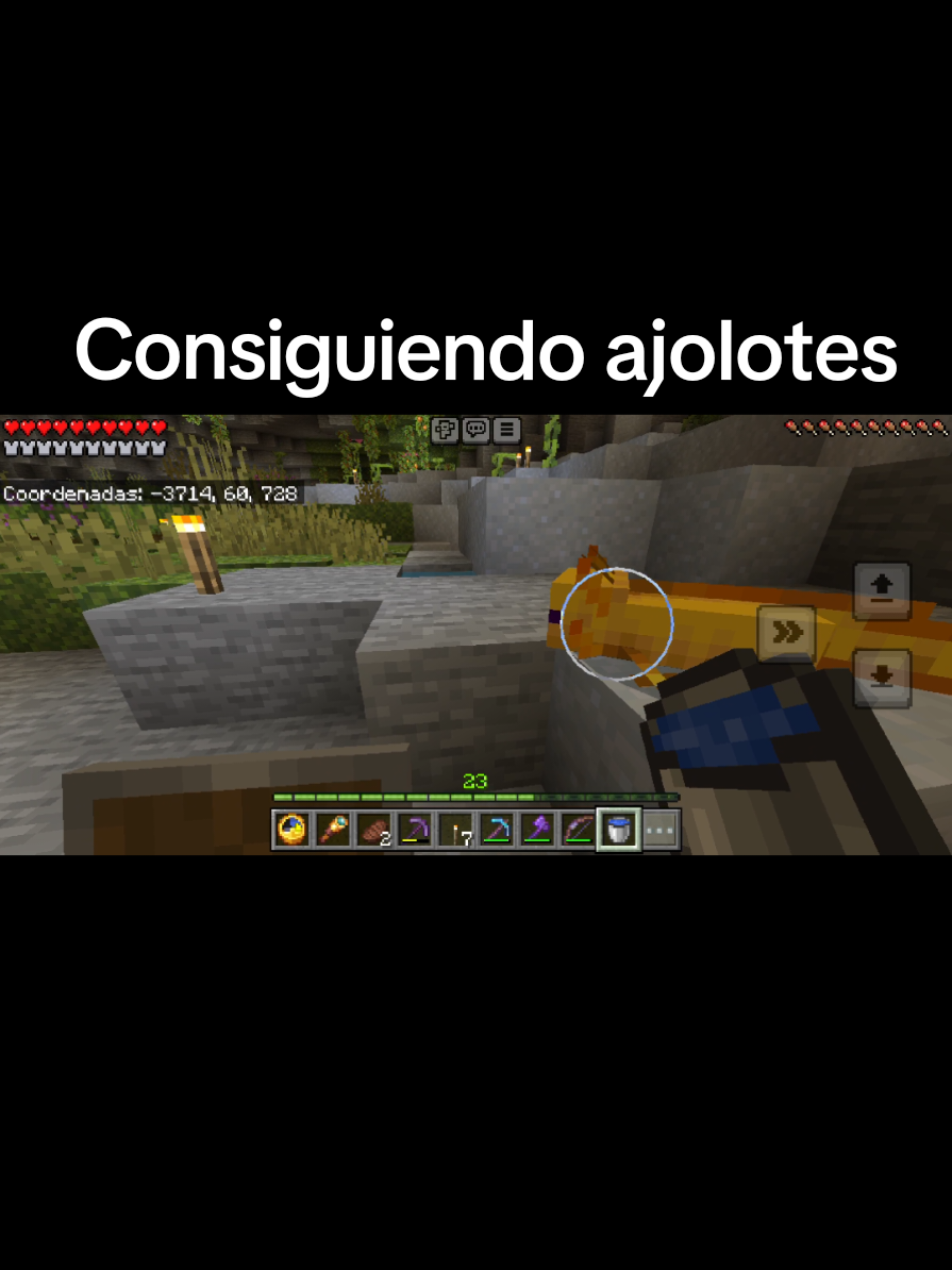 @Martcraft