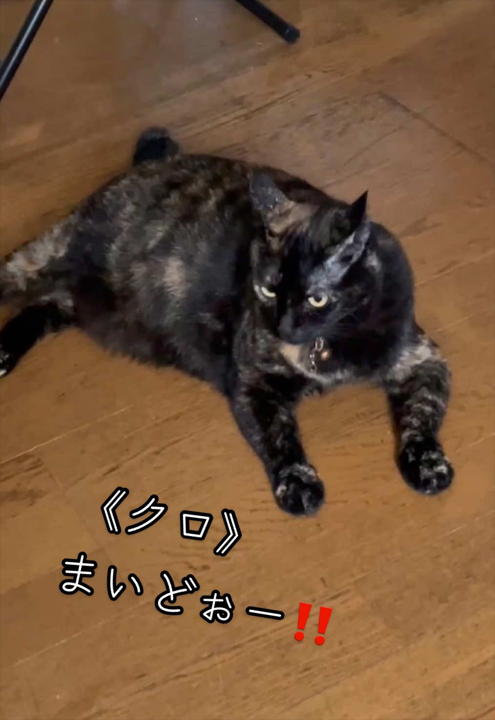 @聴々物語PROJECT