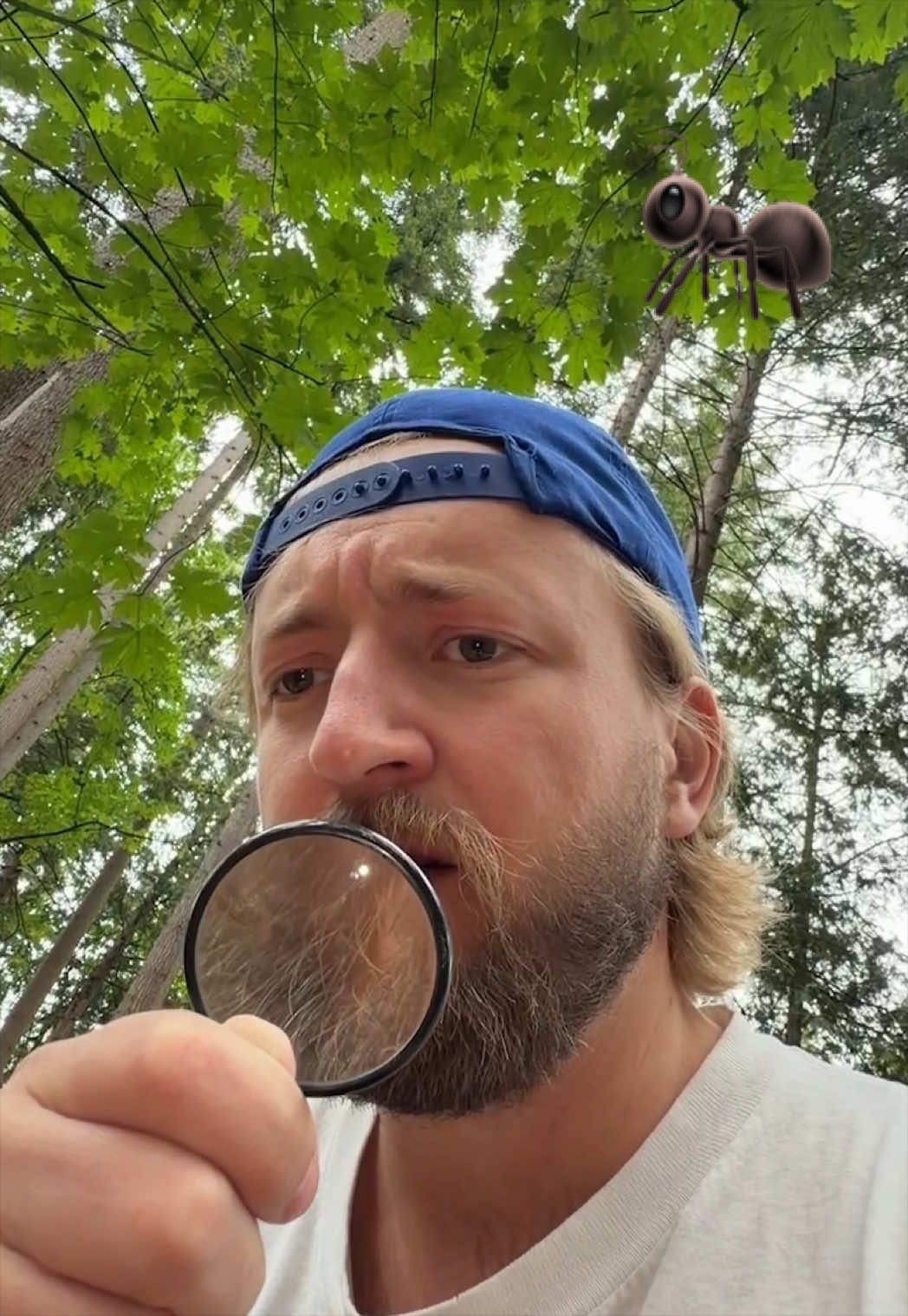 @dangerbean