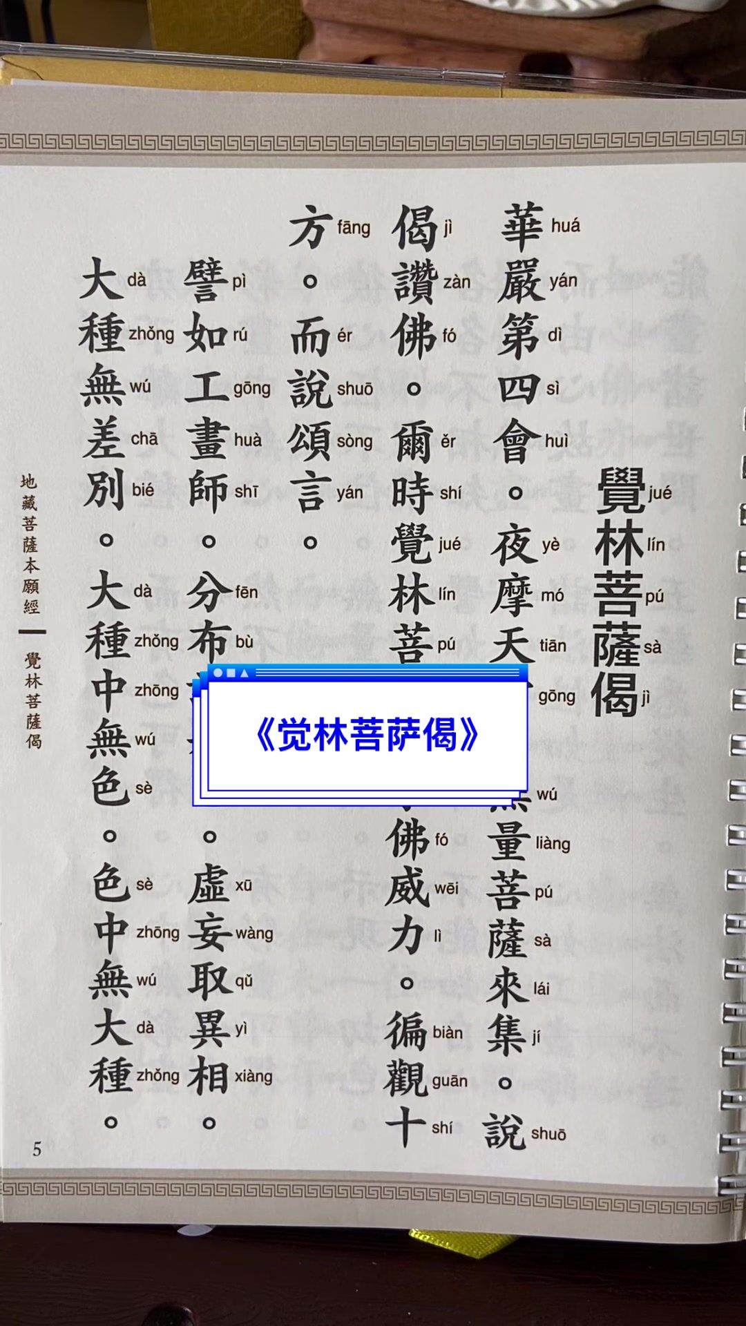 @净心