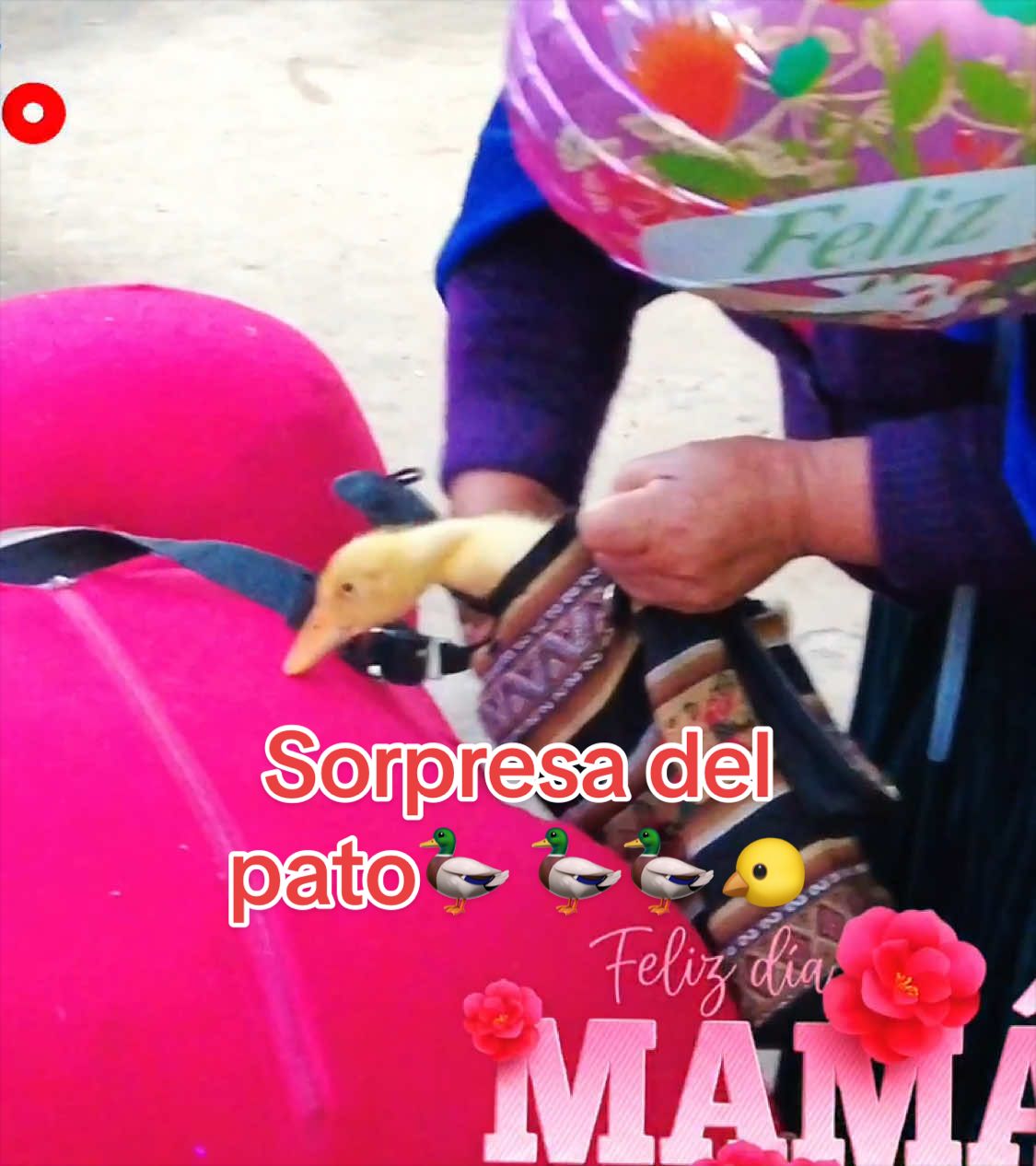 @Almaceneselparaiso