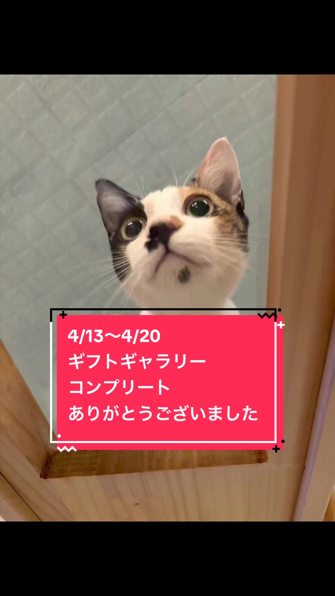 @👑ミキティ👑🙀🍜🙀🌿