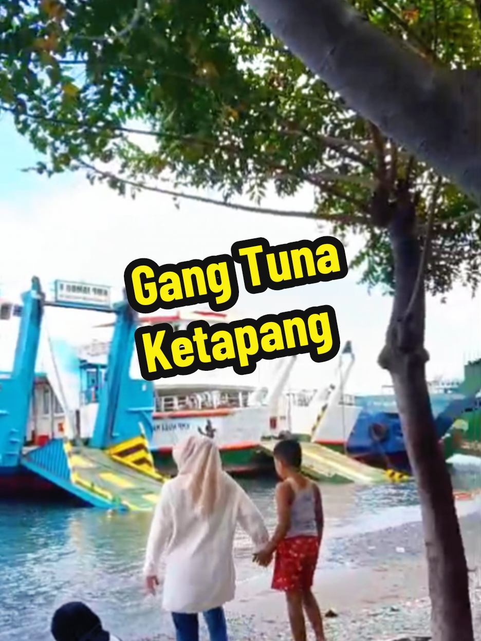 @MOH WAHID