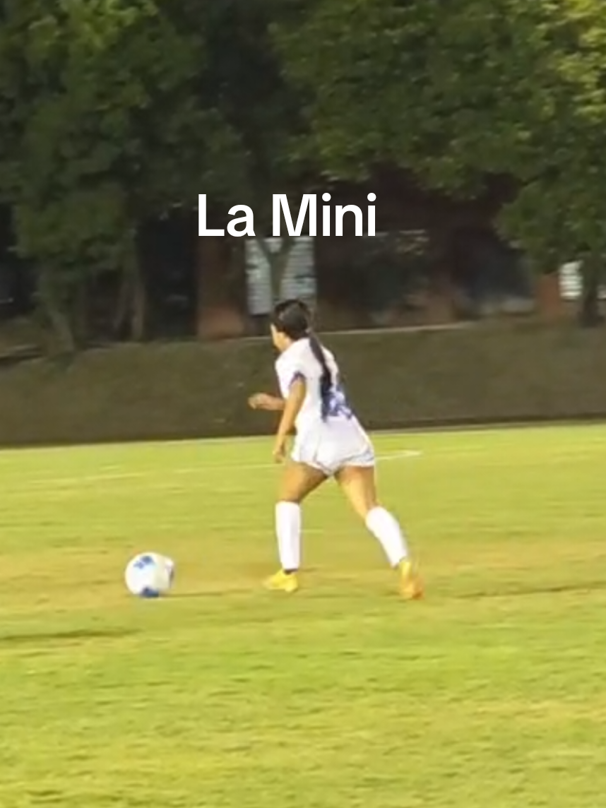 @Mini