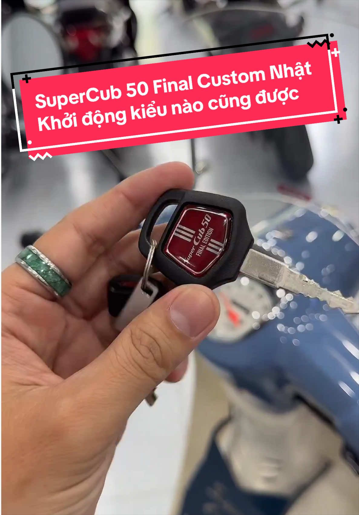 @Quốc Cường Cub House