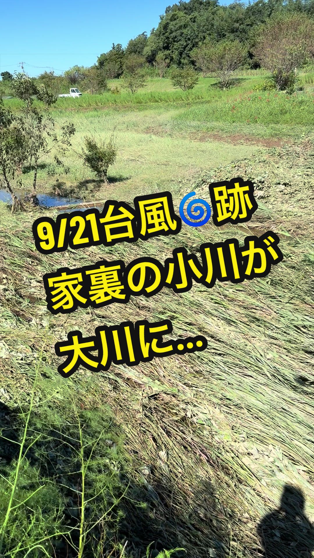 @𑁍︎·͜·えりぽんꫂ ၴႅၴ