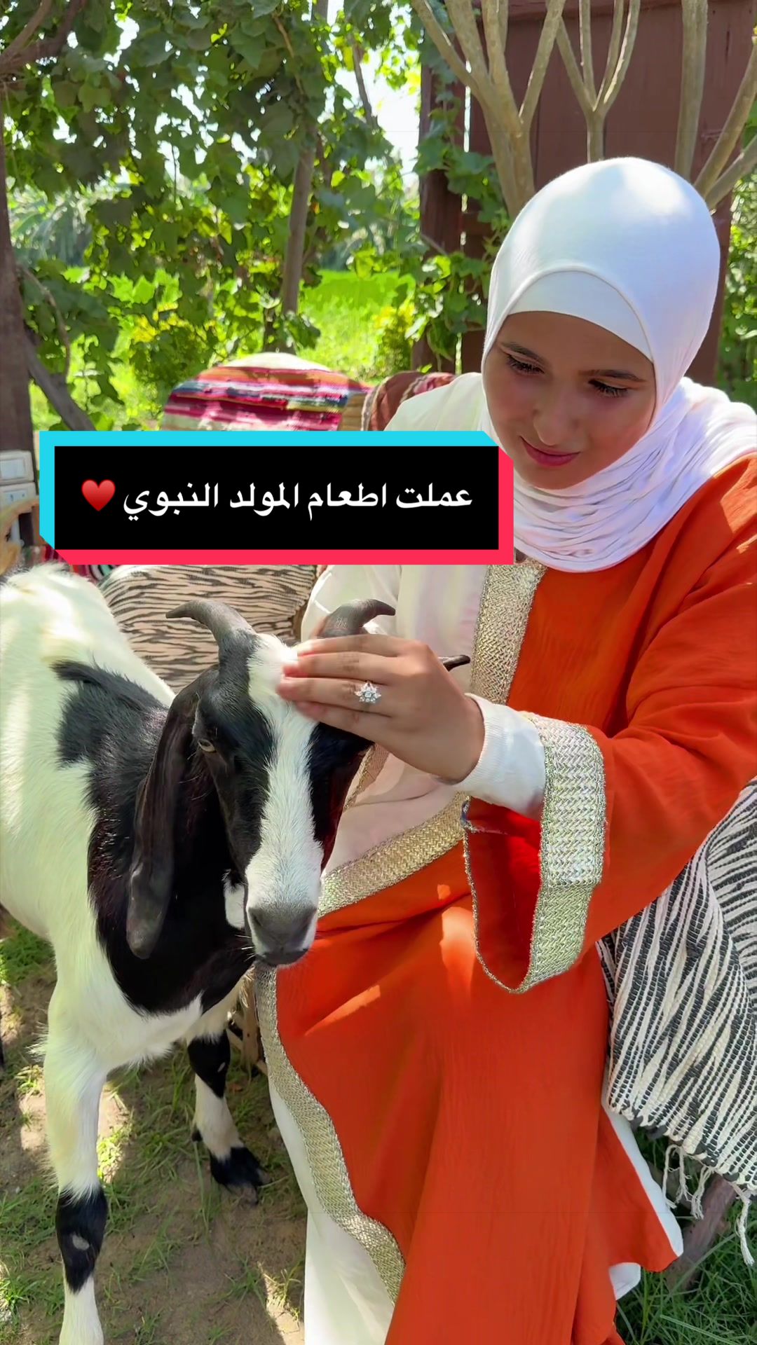 @habiba.baaqa