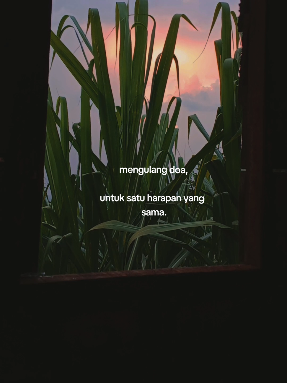 @๐ฉ๐ค๐ฃ๐ ๐ ๐ค๐จ๐ค๐ฃ๐
