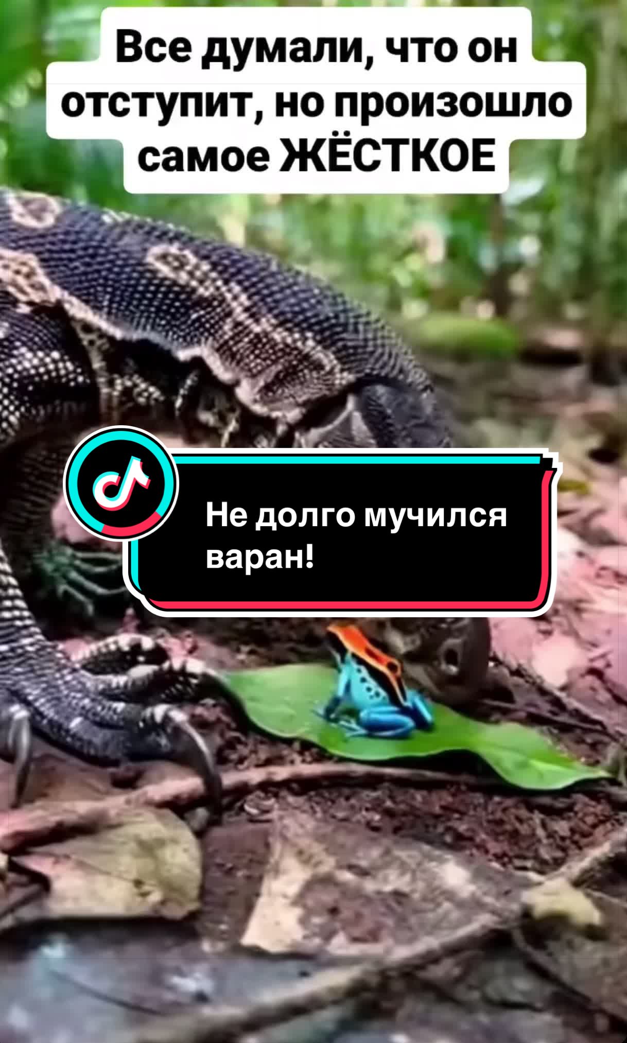 @Саня Пагон &clubs;️