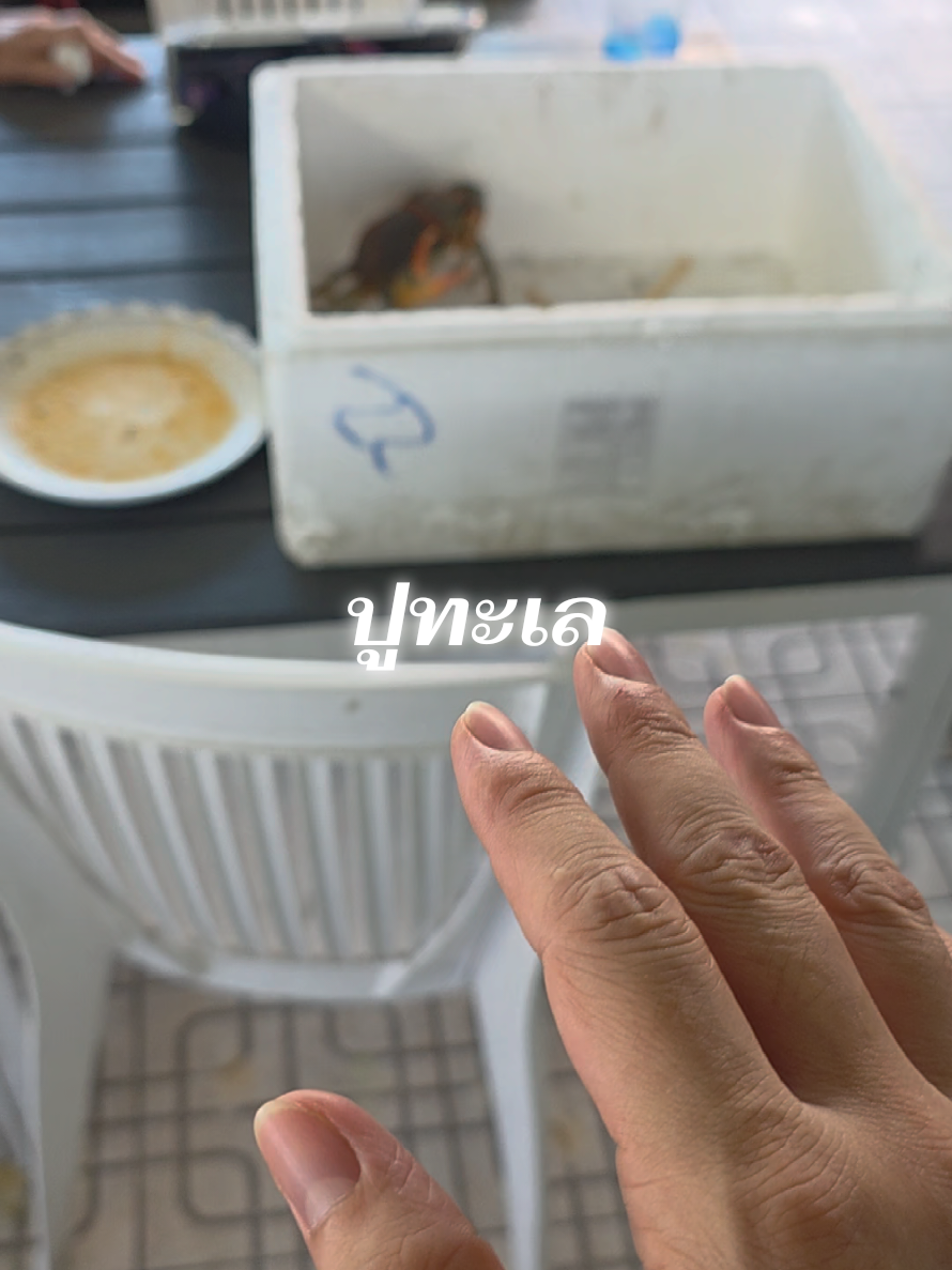 @ครัวโต้รุ่ง บางแสน