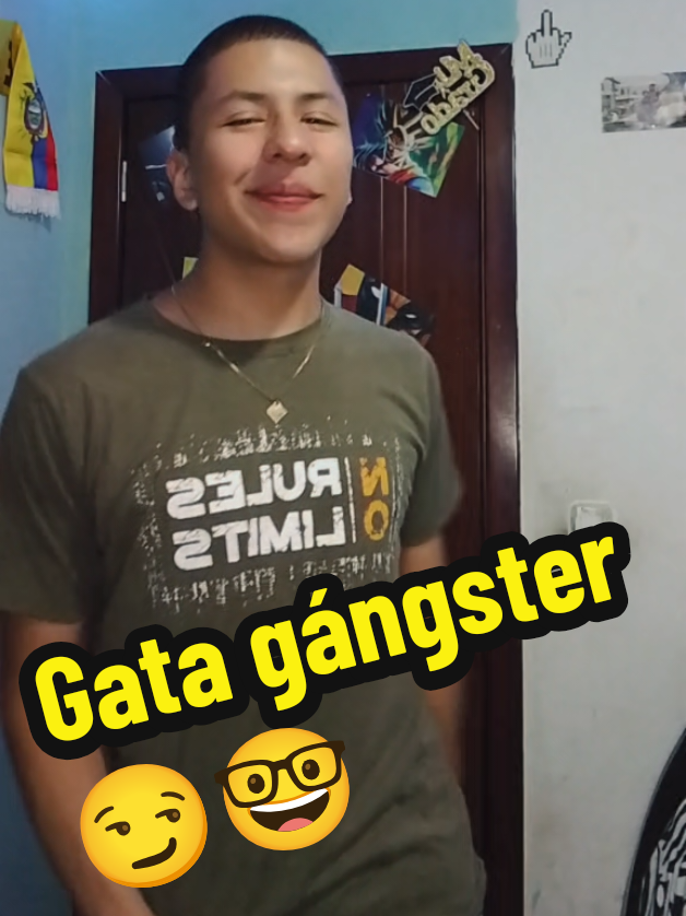 @✨️🎤 ɴɪᴄᴏʟᴀꜱ Jaramillo🐶