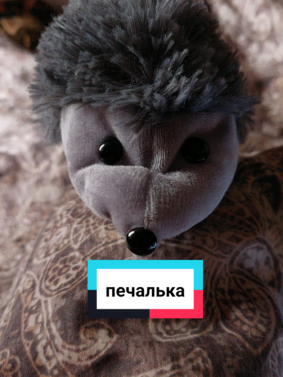 @Рыся✔️🇧🇾