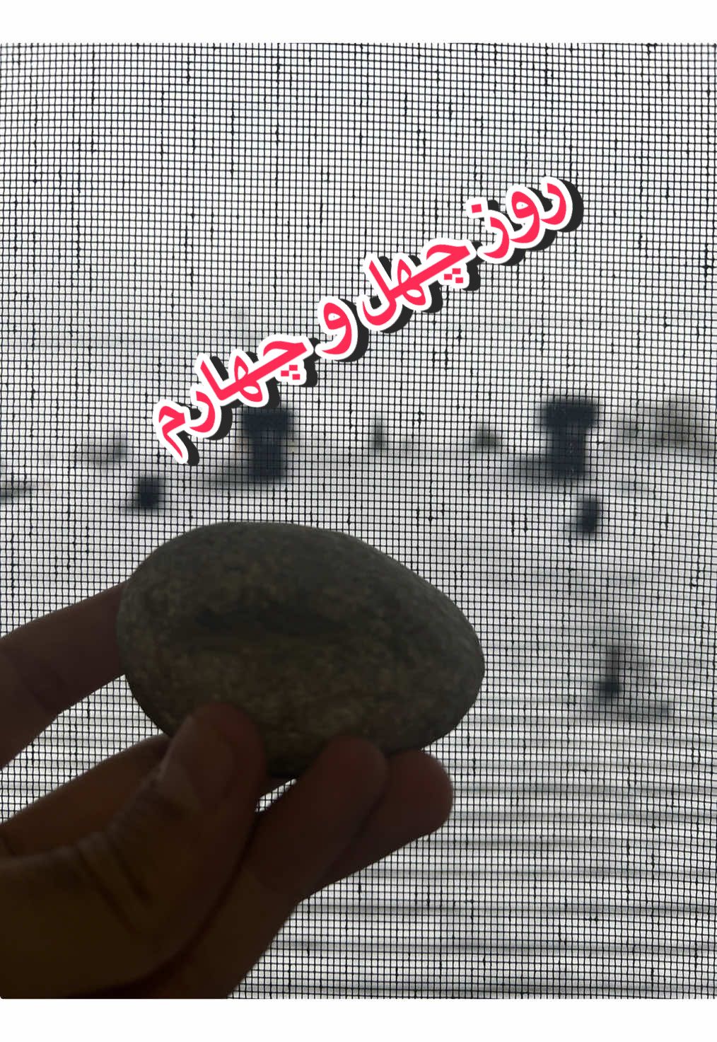 @قلی | یه حیوون خونگی متفاوت