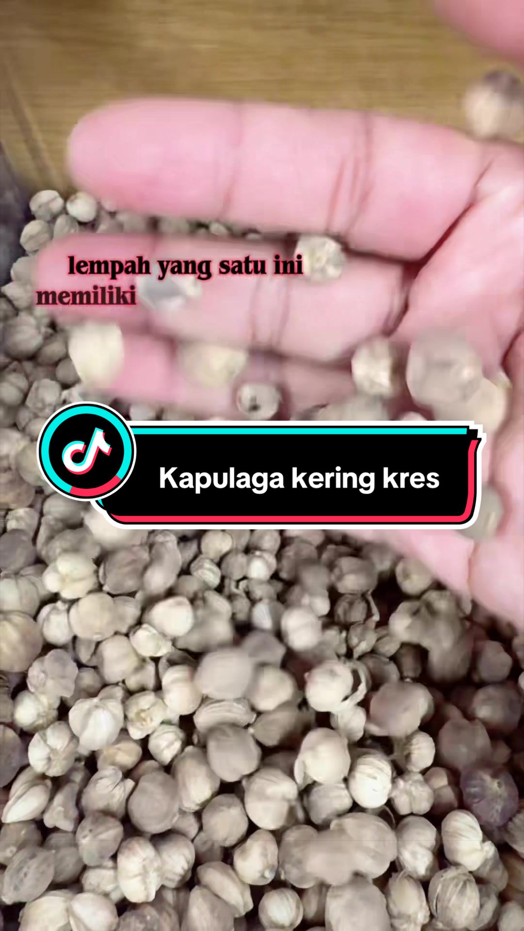 @BERKAHKURMABINTARO